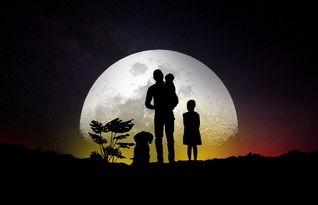 (为谁而炼金?)为谁而炼金2024：探索自我、追寻梦想与感悟人生的独特旅程