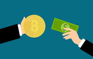 如何申请不看负债和征信的贷款？快速解读无需信用审查的借款申请条件