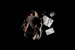 (不朽之旅官网下载)探索不朽之旅的魅力——不朽之旅官方网站详细介绍与游览指南