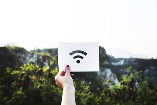 (不朽之旅官网下载)探索不朽之旅的魅力——不朽之旅官方网站详细介绍与游览指南