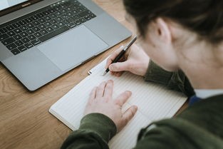 《猫之宿约者》为何在各大平台下架？背后原因及其影响深度分析