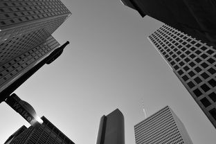 挑战盖高楼游戏：挑战创意极限，建立最高摩天大楼，突破高度纪录！