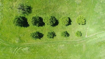 (花园战争植物大战僵尸花园战争)花园战争：植物与僵尸的无尽对抗，保卫家园拯救世界的壮举