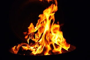 (霹雳手游有哪些)霹雳 手游