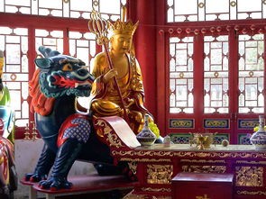 (封神单机版之封神妲己传)封神单机版封神妲己传