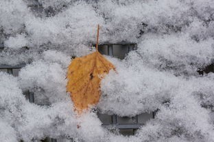 (暖雪攻略搭配)暖雪攻略