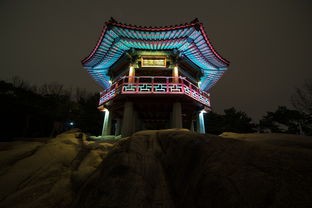 (十洲繁华景测试服怎么打不开)十洲繁华景测试服