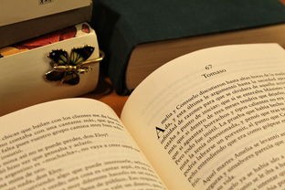 (打天下容易守天下难类似的句子)打天下易，守天下难，历史规律的当代启示