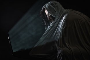 (无双萌将活动时间表)萌将无双，停服背后的原因与影响分析