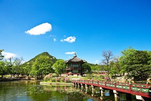(满庭芳 花)满庭芳宋上繁华，34个增益图鉴解析与探讨