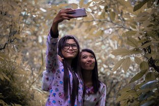 (莽荒纪百度云盘)莽荒纪2018补充内容，探寻古老文明与神秘力量的奇幻之旅