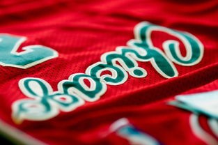 (侠侣天下手游仙侠137区版本是什么)侠侣天下手游，探索游戏魅力与玩家体验
