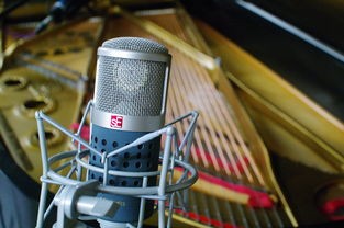 (话筒麦克风电脑没声音)话筒麦克风电脑——现代多媒体设备的协同工作