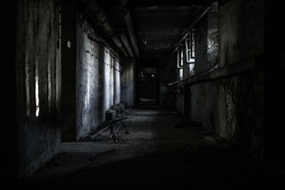 (黄金岛密室逃脱攻略视频)黄金岛密室逃脱攻略，探秘神秘岛屿的逃脱之旅