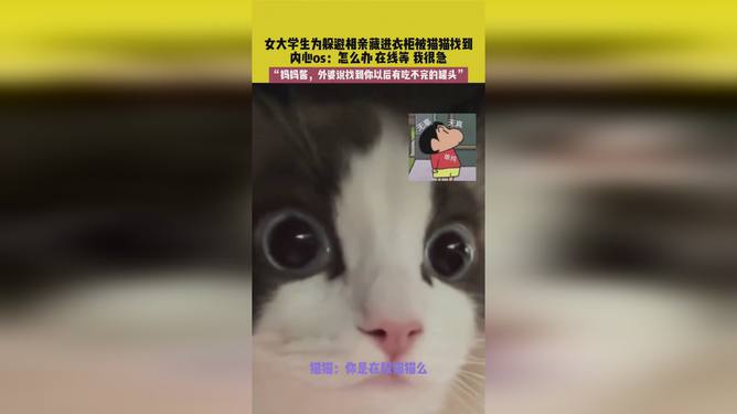 一起躲个猫2024最新版本下载-一起躲个猫无限金币不用实名下载v.4.16