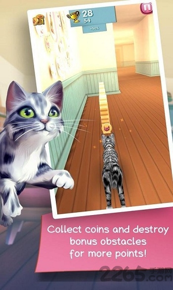 管道猫咪游戏正版下载-管道猫咪无限背包无限血下载v.7.71