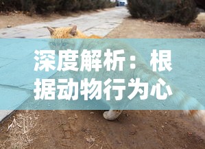 (魔兽天地劫完全攻略)魔兽地图天地劫纪念版攻略解析与常见问答