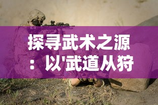 (战途thaty)战途王者免广告代码解析与应用——深度分析与常见问题解答