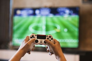 (萌宠呈祥官网下载)萌宠呈祥华为版，科技与萌宠的完美融合