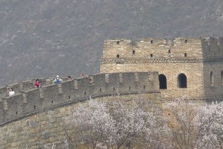 一日成仙，为这逍遥的世界折相思——穿越时空的仙侠之旅