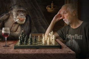 (棋兵斗阵为啥进不去了)棋兵斗阵，一场古代军事智慧的较量