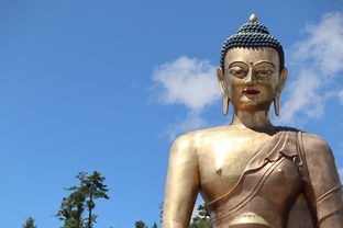 (三国之我是反贼小说)三国之我是反贼，身份之谜与多元分析