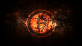 (乙女游戏推荐不氪金汉化)乙女游戏不氪金攻略，探索多元化的游戏体验