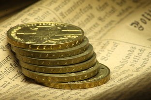 (乙女游戏推荐不氪金汉化)乙女游戏不氪金攻略，探索多元化的游戏体验