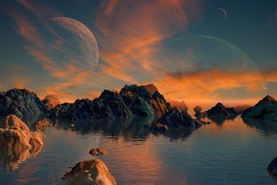 (明星经纪人心跳链接结婚备战)明星经纪人心跳链接攻略，揭秘明星经纪人的工作日常与挑战