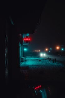 (暗黑终结者是什么意思啊)探秘暗黑终结者，多元视角下的解析与探讨