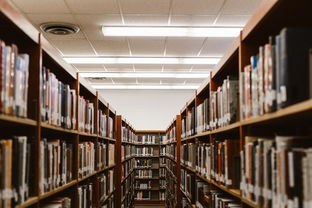 (不二学院真的假的)不二学院补充内容解析，多元化视角下的教育探讨