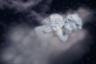 (寻找天堂结局有几个)寻找天堂，一场关于生命意义的探索