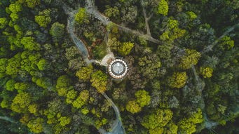(平坦镇属于哪个市)平坦村，探寻乡村振兴的足迹
