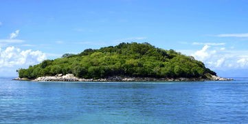 (至尊传世手游散人怎么玩)至尊传世手游散人补充内容解析，多元化分析与常见问题解答