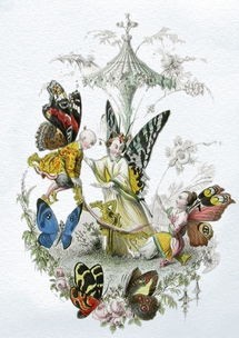 (以仙之名改名叫什么了啊)以仙之名，探寻中华仙文化的演变与影响