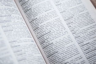 (以仙之名改名叫什么了啊)以仙之名，探寻中华仙文化的演变与影响
