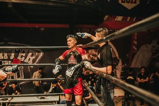 (军团战棋 秩序契约有什么用)军团战棋，秩序契约补充内容解析与多元化分析