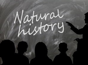 (流氓来了为啥不能看了呢)流氓来了，为何这部经典影片不能看了？深入剖析与常见问答