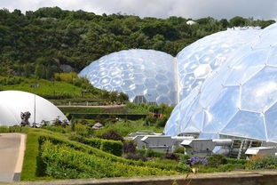 (南京四季物语生物科技有限公司怎么样)南京四季物语生物科技有限公司，绿色科技引领未来，探索生物科技新篇章
